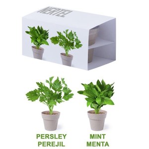 Pot de Fleurs Biodégradable "Nertel" - Objet publicitaire AVEC ou SANS logo - Cadeau cl...