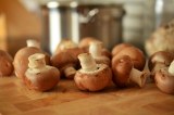 Potagers de gascogne - champignons shiitakés bio