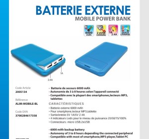 Batterie externe 6000 mAh - Power Bank Connectland
