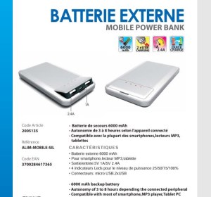 Batterie externe 6000 mAh - Power Bank Connectland