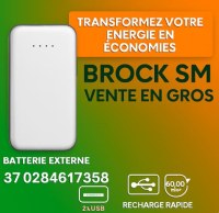 Batterie externe 6000 mAh - Power Bank Connectland