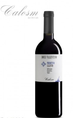 Destockage vin italien Primitivo Salento