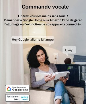 Liquidation Prises WiFi connectées – 415 unités – compatible Google / Alexa / Tuya – ve...