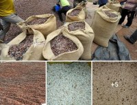 Produits tropicaux, agricoles et pierres précieuse