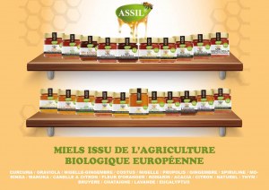 Boissons / tisanes instantanées à base de gingembre ASSIL