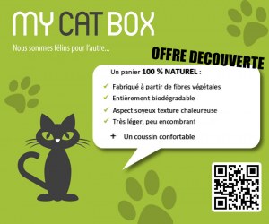 Corbeille en bambou bio avec coussin pour chat