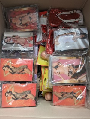 Lot Stock Toys et lingerie Neufs (cessation activité) Plus de 300 réf.
