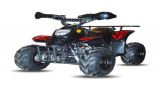 Quad Bigfoot 6 pouces 48v 800w