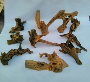 Lot de racines de teck idéal animalerie, fleuriste...