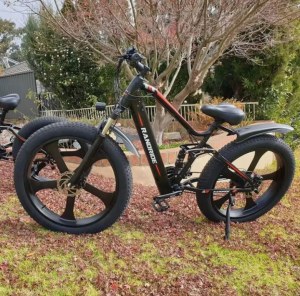 RANDRIDE 20AH Fat Tire Ebike 1000W Electric Fat Bike Mountain E Bike for Adults