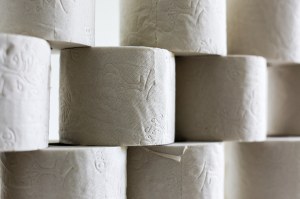 Regina soft & easy kitchen towel white 2x24