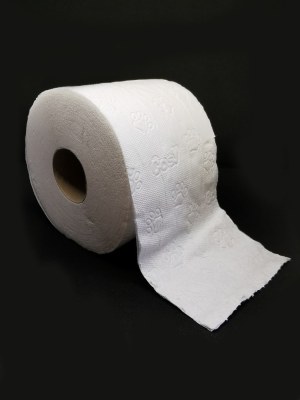 Regina toilet paper camomile paper 8x10