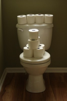 Regina toilet paper long rolls 4x15