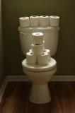 Regina toilet paper long rolls 4x15