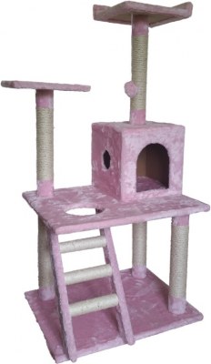 Arbres a chats neufs