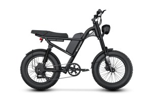 Riding Times Z8S Electric Bike 48V 20.8Ah 750W (1500W Peak) 28MPH NEW