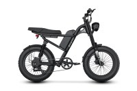 Riding Times Z8S Electric Bike 48V 20.8Ah 750W (1500W Peak) 28MPH NEW