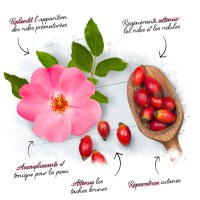 Huiles vegetales bio pour vos projets cosmetiques bio