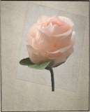 Lot de 51 roses artificielles