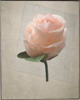 Lot de 51 roses artificielles