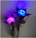 LOT REVENDEUR ROSE LED