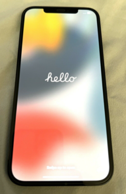 Iphone 13 pro max- 512 gb