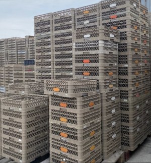 TRAEX - Rack à verre 49 d'occasion – Séparateur / Réhausseur inclus