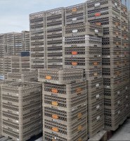 TRAEX - Rack à verre 49 d'occasion – Séparateur / Réhausseur inclus