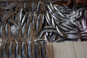 Saupiquet - filets de maquereaux grillés goût barbecue produit en bretagne