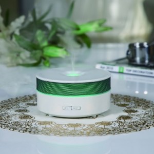 Grossiste Diffuseur Brumisateur