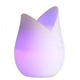 Grossiste Diffuseur Brumisateur