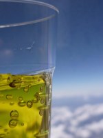 Schweppes Tonic 0,5 L : Lot de Palettes pour Professionnels