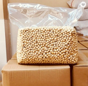 Noisettes crues en gros