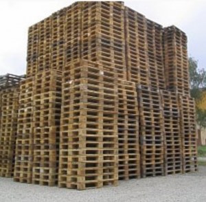 Recherche de palettes de manutention en bois