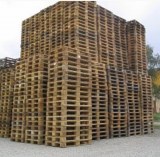 Recherche de palettes de manutention en bois