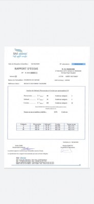 Safran bio taliouine maroc
