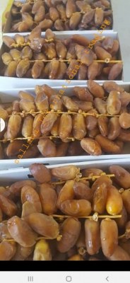 DATES DEGLET NOUR