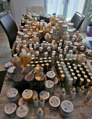 Lot figue de barbarie