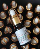 Lot figue de barbarie