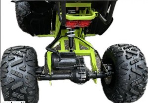 Ultratoolz Electric Powerquad kids (12+) | Raptor Green Pro | 1500 Watt | Now Available...