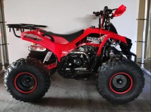 Kids Quad ATV 125 cc Beezy | Petrol quad for kids