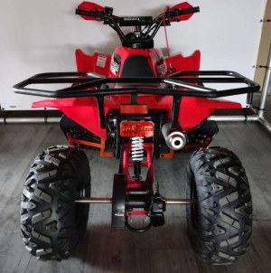 Kids Quad ATV 125 cc Beezy | Petrol quad for kids