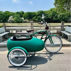 7 Speed 1000w 48v Electric Bike Ebike City Coco Scooter
