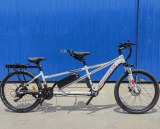 Electric 500W/48V Two Seater 26in Tire 21 Speed Tandem Bicycle