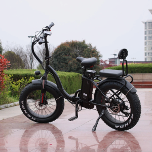 750w/48v Two Seater Fat Tire Folding Electric Bicycle Ebike Scooter