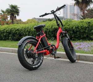 750w/48v Two Seater Fat Tire Folding Electric Bicycle Ebike Scooter