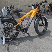 Randride 1500W Ebike 48V 23AH E Fat Bike 26" Fat Tire Electric Bikes