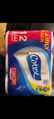 Papier toilette 12 rouleaux 2 plis