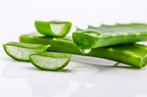 ALOE VERA GEL PUR