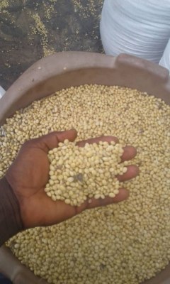 Produits tropicaux, agricoles et pierres précieuse